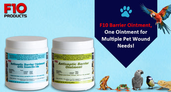 F10 Antiseptic Barrier Ointment with Insecticide - Your Pet’s Perfect Partner in Healing