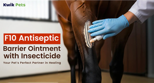 F10 Antiseptic Barrier Ointment with Insecticide - Your Pet’s Perfect Partner in Healing
