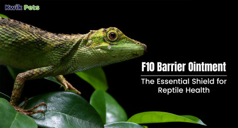 F10 Barrier Ointment: The Essential Shield for Reptile Health
