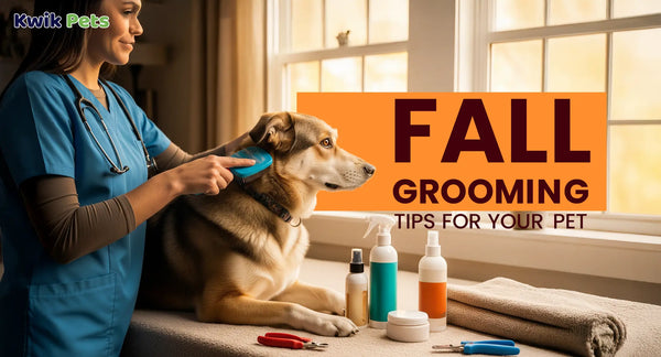 Fall Grooming Tips for Your Pet