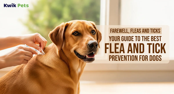 Best Flea And Tick Prevention For Dogs