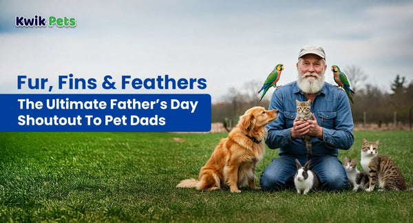 Father's day with pet dad