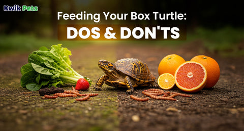 Can Turtles Eat Dog Food? Discover Essential Facts
