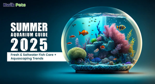 Summer Aquarium Guide 2025: Fresh & Saltwater Fish Care + Aquascaping Trends