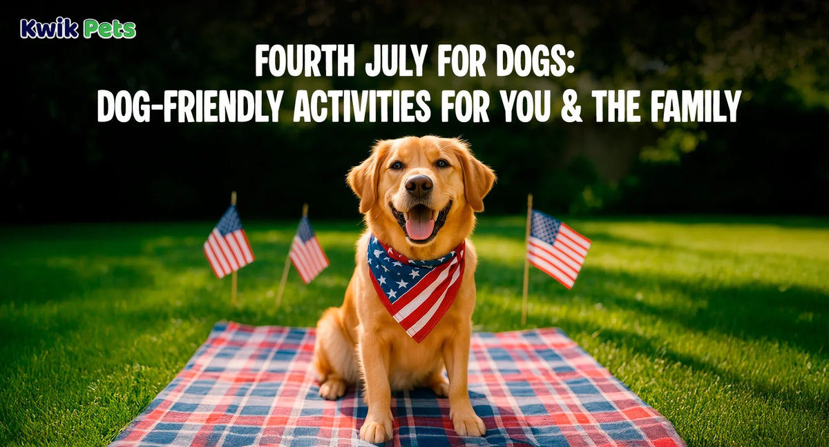 Fourth July For Dogs: Dog-Friendly Activities For You and The Family