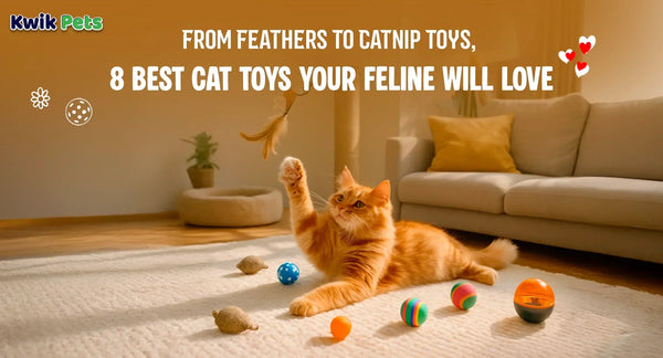 From Feathers To Catnip Toys, 8 Best Cat Toys Your Feline Will Love