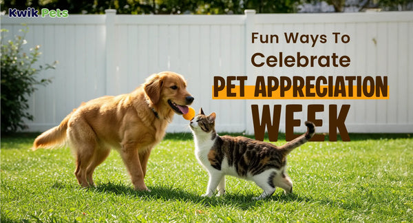 Fun Ways To Celebrate Pet Appreciation Week