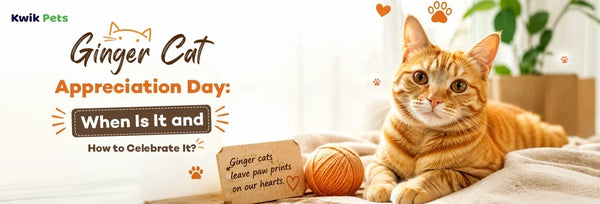 Ginger Cat Appreciation Day