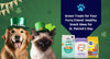 Green Treats for Your Furry Friend: Healthy Snack Ideas for St. Patrick's Day
