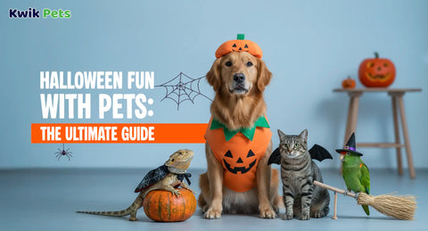 Halloween Fun with Pets: The Ultimate Guide for October 31st