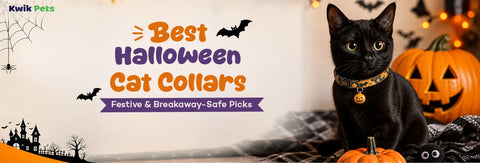 Best Halloween Cat Collars 2026: Festive Picks, Breakaway Included