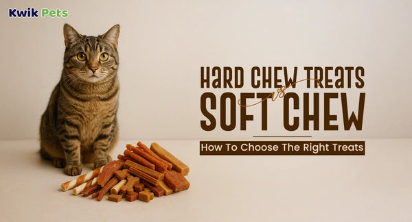 Hard Chew Treats vs Soft Chew: How To Choose The Right Treats