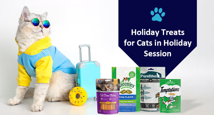Holiday Treats for Cats in Holiday Session