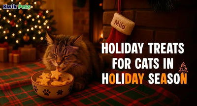 Holiday Treats for Cats in Holiday Season