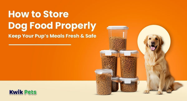 how to store dog food