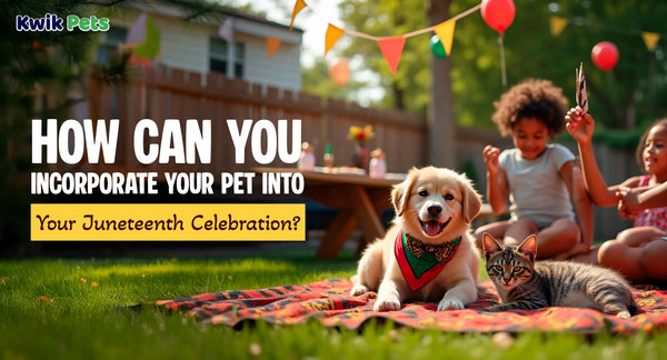 How Can You Incorporate Your Pet Into Your Juneteenth Celebration?