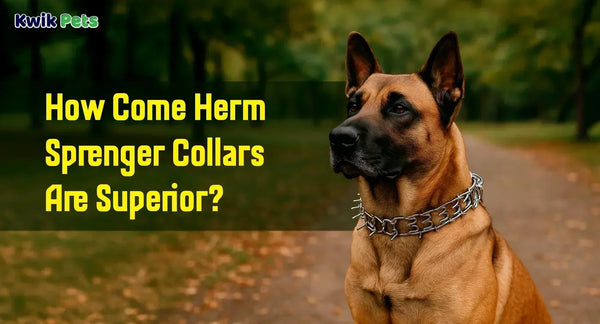 How Come Herm Sprenger Collars Are Superior?