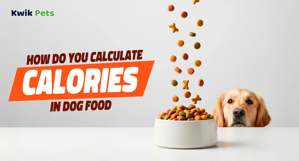 How Do You Calculate Calories in Dog Food?