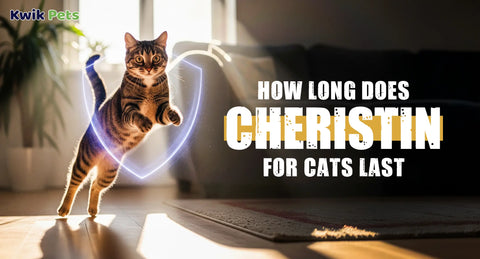 How Long Does Cheristin Last on Cats? A Quick Guide for Flea-Free Felines
