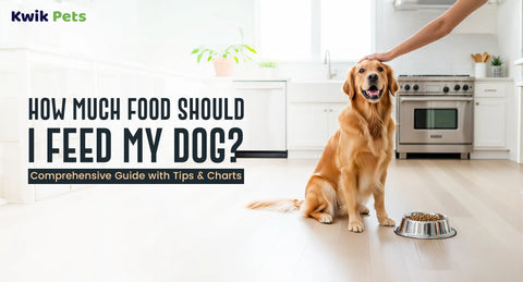 How Much Food Should I Feed My Dog? Comprehensive Guide with Tips & Charts