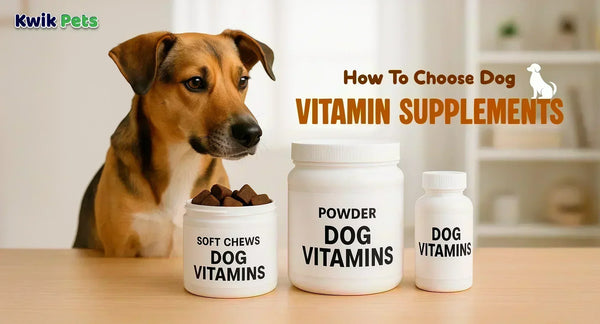 How To Choose Dog Vitamin Supplements
