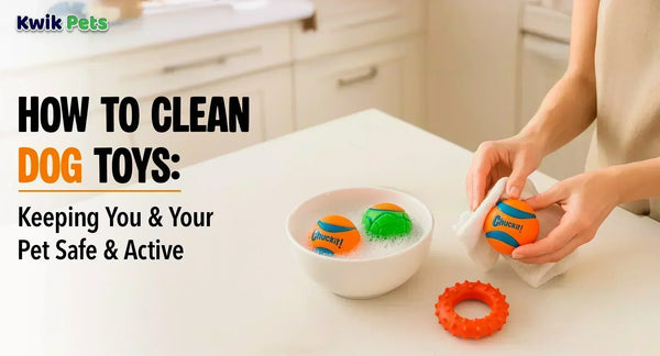 How To Clean Dog Toys