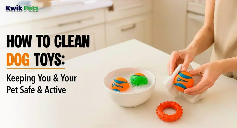 How To Clean Dog Toys