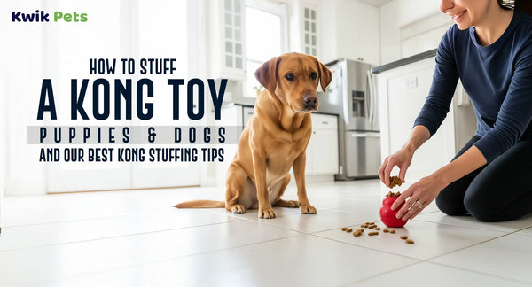 How To Stuff A Kong Toy Puppies & Dogs And Our Best Kong Stuffing Tips
