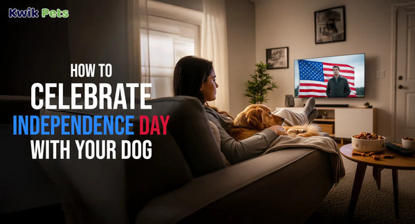 How to Celebrate Independence Day With Your Dog