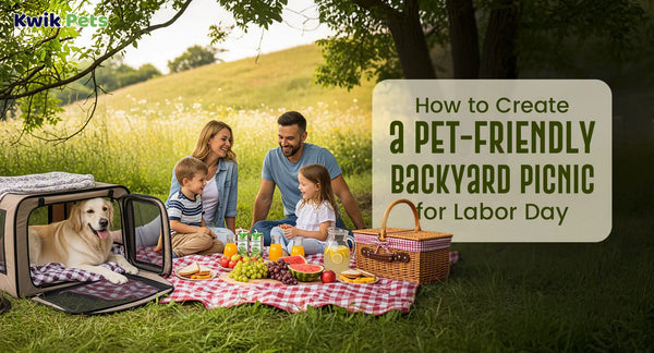 How to Create a Pet-Friendly Backyard Picnic for Labor Day