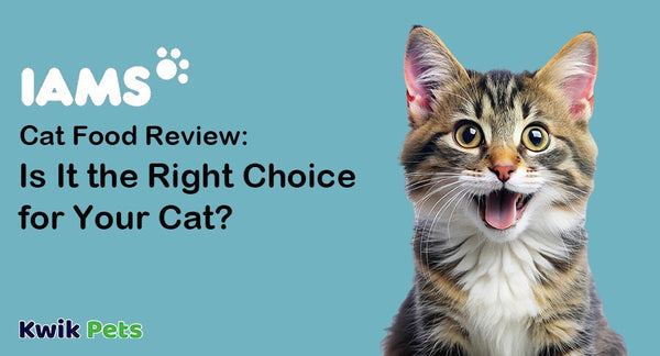 IAMS Cat Food Review