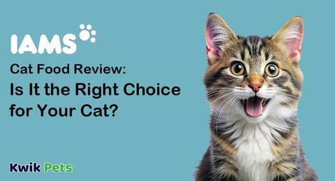 IAMS Cat Food Review: Is It the Right Choice for Your Cat?