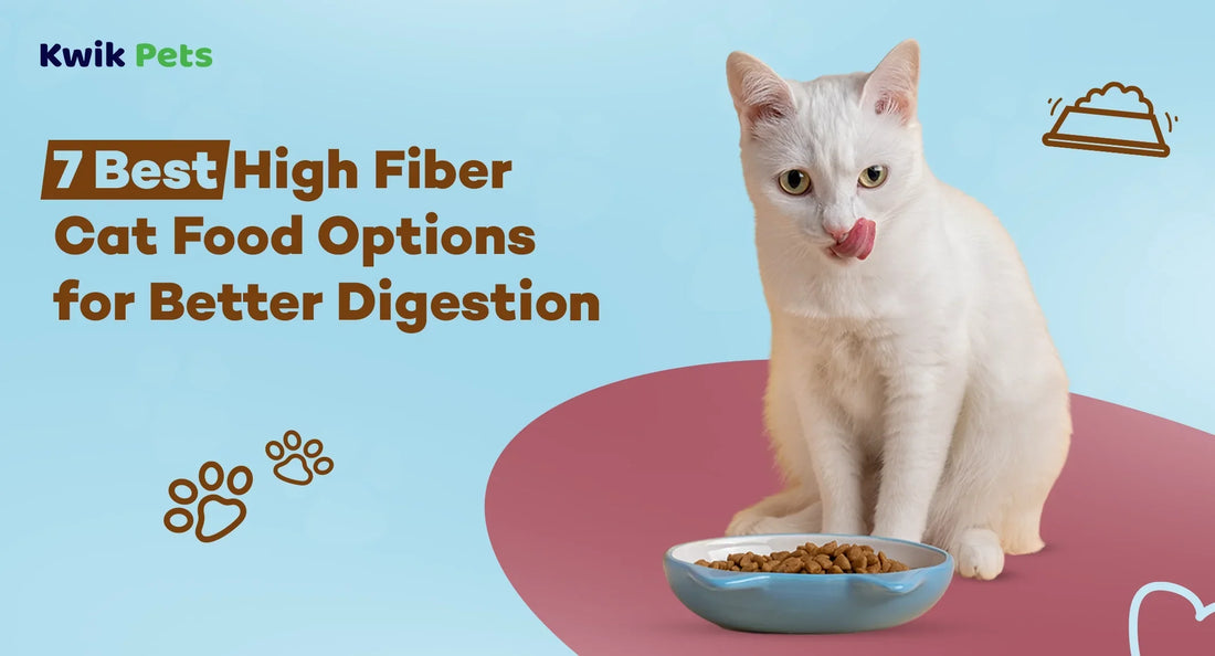 7 Best High Fiber Cat Food Options for Better Digestion