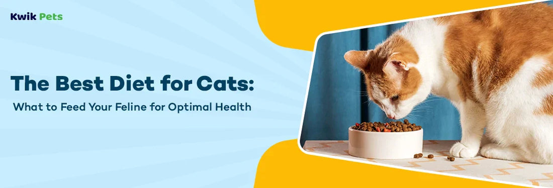 The Best Diet for Cats: What to Feed Your Feline for Optimal Health
