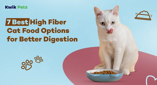 7 Best High Fiber Cat Food Options for Better Digestion