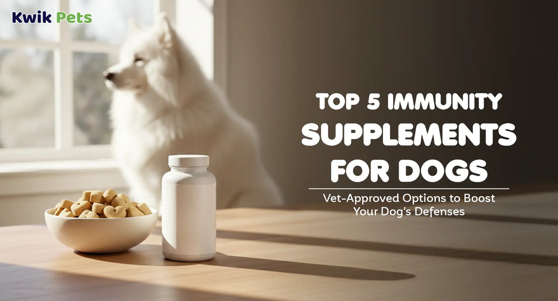 Immunity Supplements for Dogs