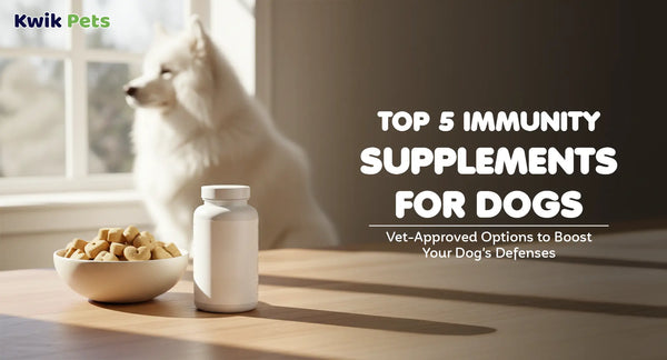 Immunity Supplements for Dogs