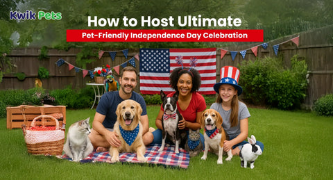 How to Host the Ultimate Pet-Friendly Independence Day Celebration