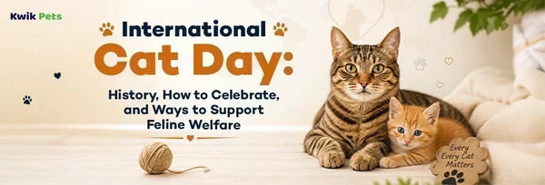 international cat day