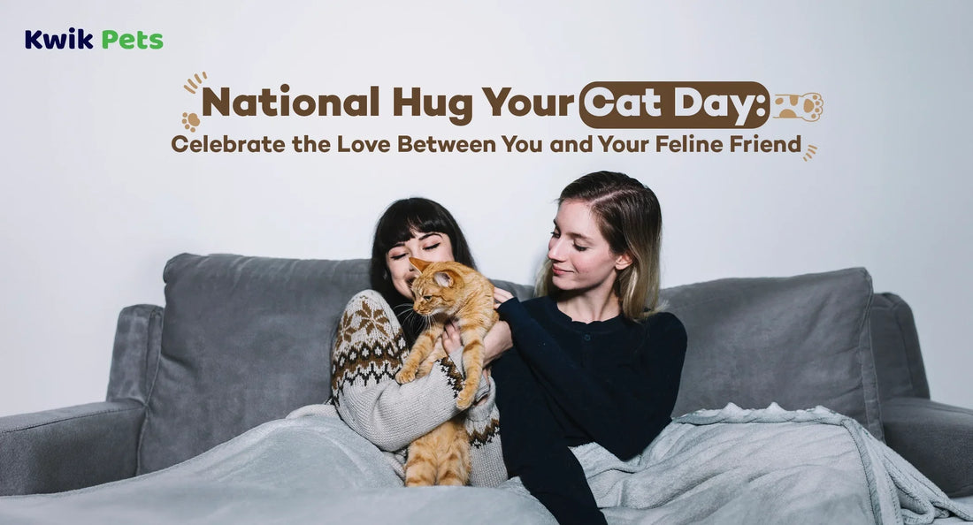 National Hug Your Cat Day: Celebrate the Love Between You and Your Feline Friend