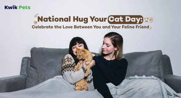 National Hug Your Cat Day: Celebrate the Love Between You and Your Feline Friend