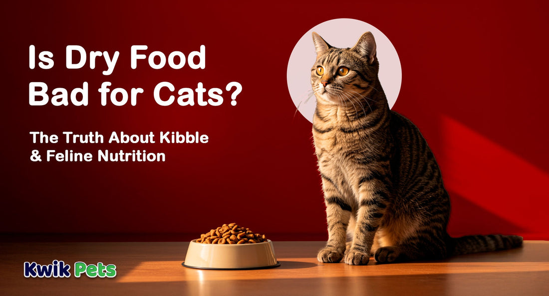 Kibble May Increase Urinary Tract Risk