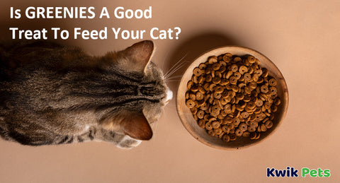 Is GREENIES A Good Treat To Feed Your Cat?