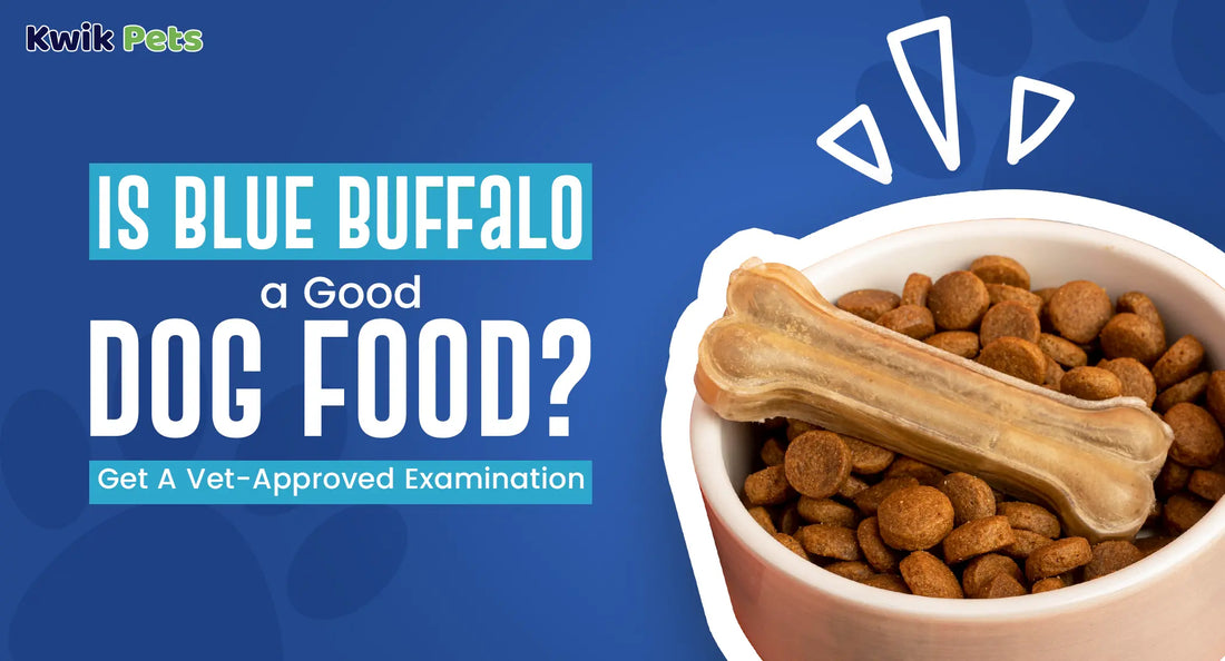 is blue buffalo a good dog food