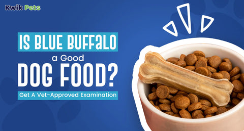 Is Blue Buffalo a Good Dog Food? Get A Vet-Approved Examination