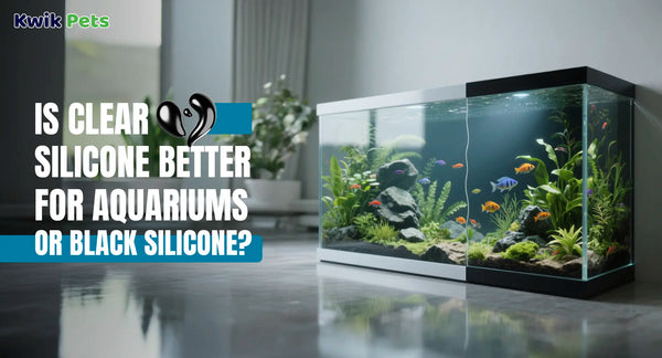 Is Clear Silicone Better For Aquariums Or Black Silicone?