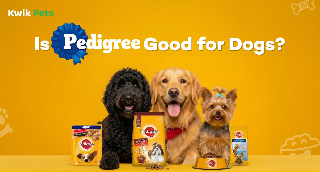 How to upgrade Pedigree if you choose it