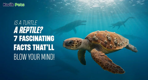 Is a Turtle a Reptile? 7 Fascinating Facts That’ll Blow Your Mind!
