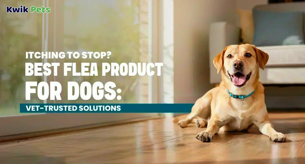 Best Flea Product for Dogs