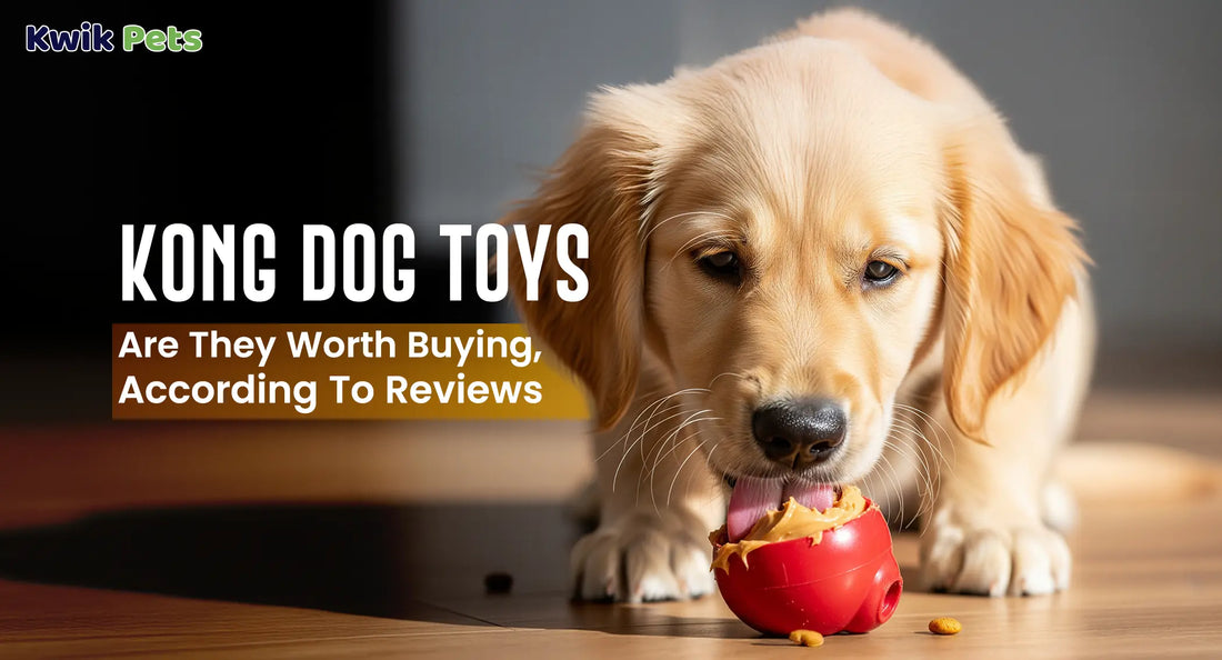 KONG Dog Toys: Are They Worth Buying, According To Reviews